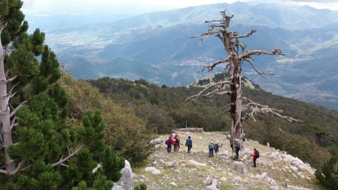 Con il CAI Courgnè sul Pollino