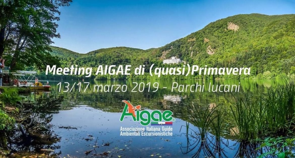 Meeting AIGAE di primavera 2019