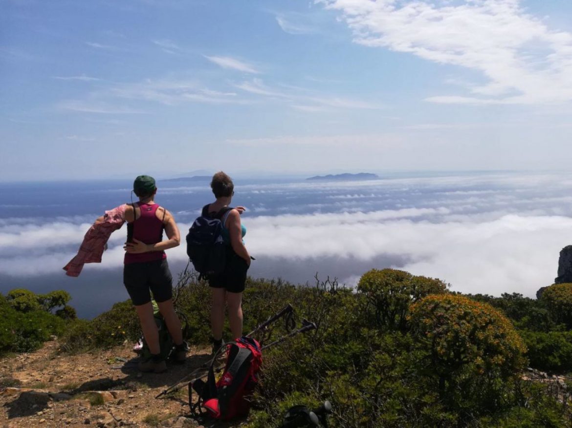 Una nuova simpaticissima conoscenza